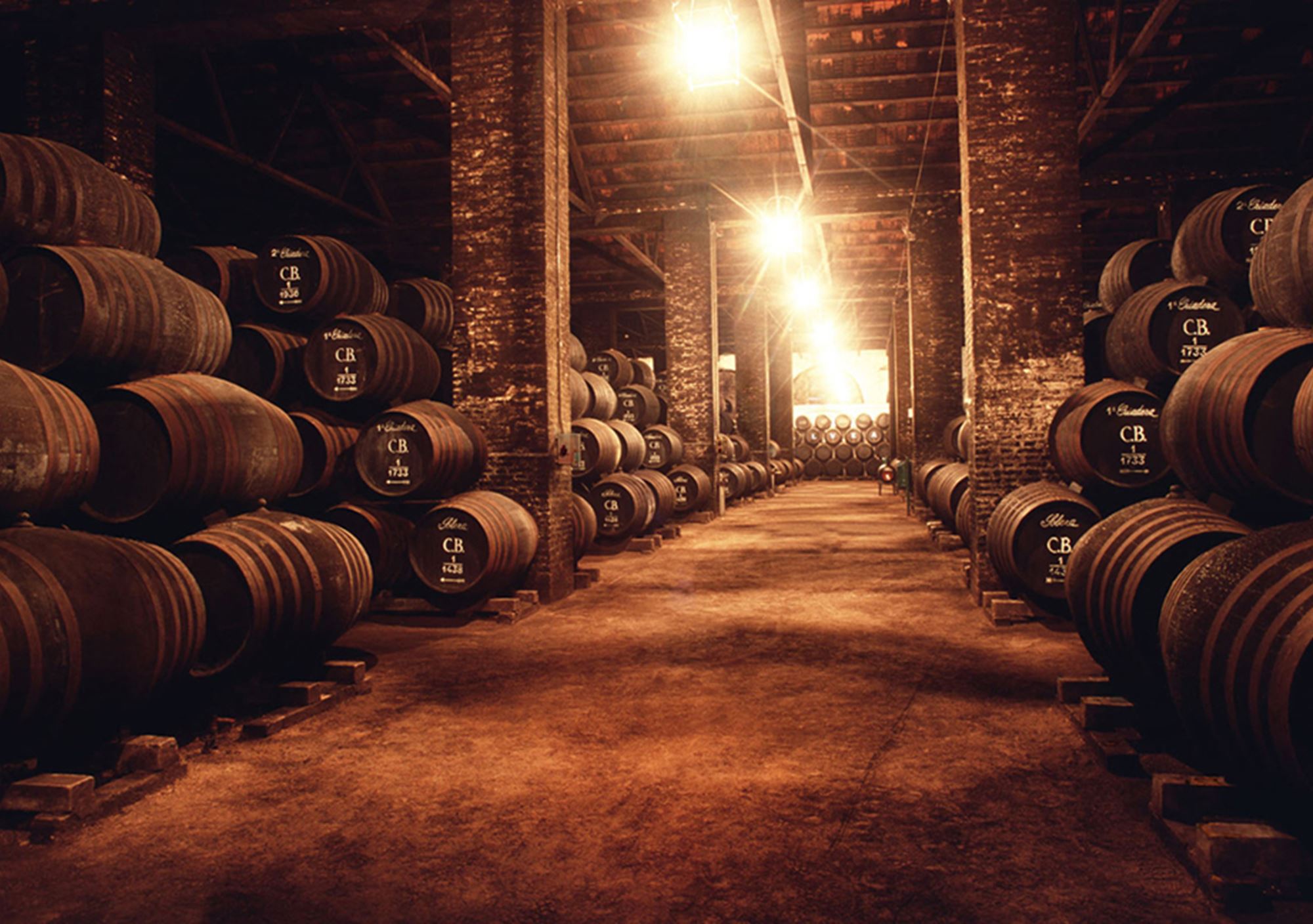 tours guiados y cata de vinos en Bodegas Alvear en Montilla Córdoba